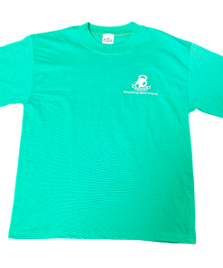Bryanston High Emerald House T-Shirt